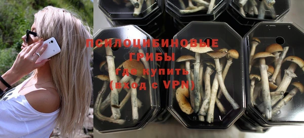 ешки Вязники