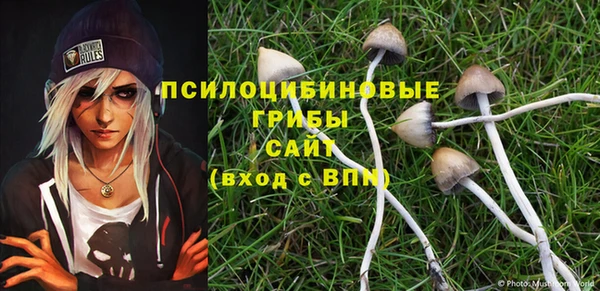 ешки Вязники